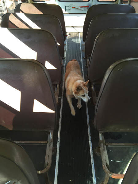 Eski Otobüsü Öyle güzel Dönüştürdüler Ki...