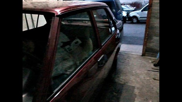 Tofaş Doğan’ın Evrimi