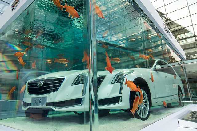 Akvaryum Otomobili