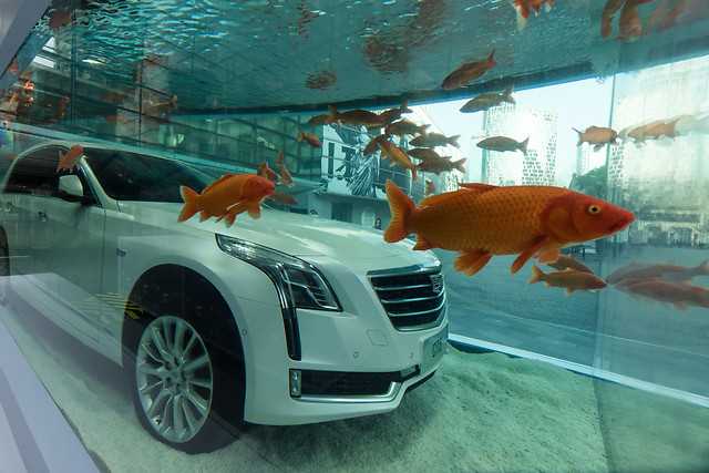 Akvaryum Otomobili