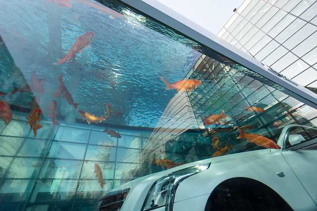 Akvaryum Otomobili