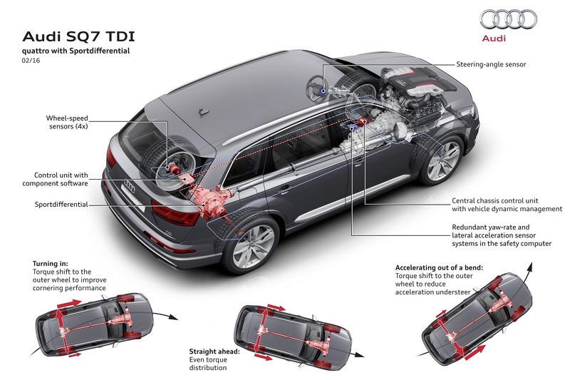 Dünyanın En Güçlüsü