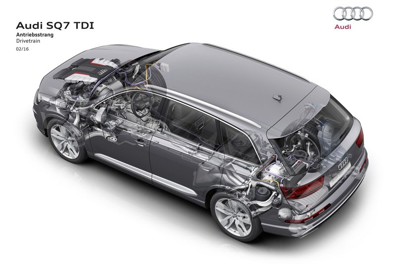 Dünyanın En Güçlüsü