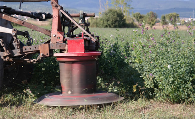 Restorasyonda Çığır Açan Türkler