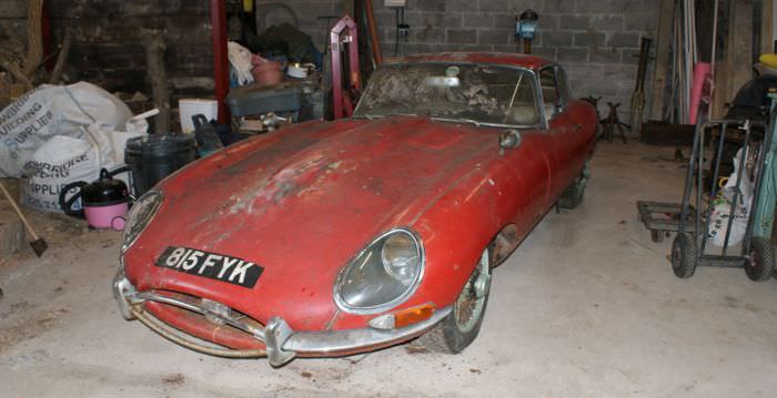 Çiftlikten Çıkan Jaguar 260 Bin TL’ye Satıldı