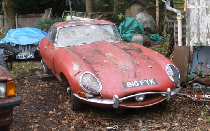 Çiftlikten Çıkan Jaguar 260 Bin TL’ye Satıldı