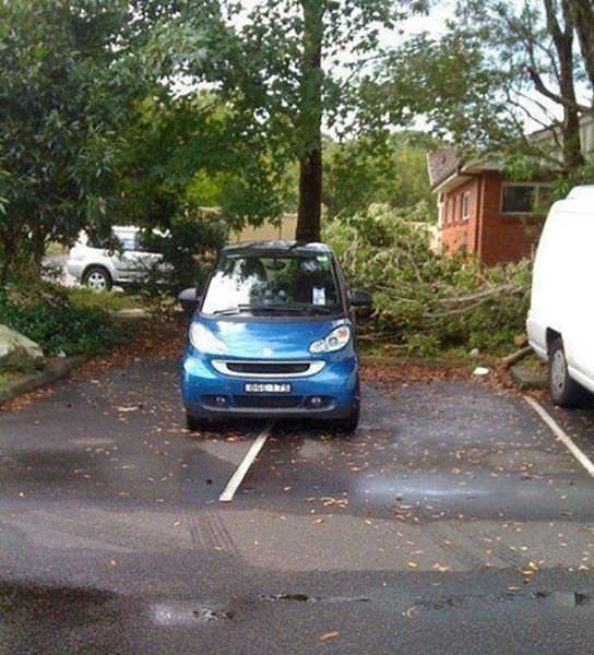 Park Konusunda Sıkıntı Çekenler