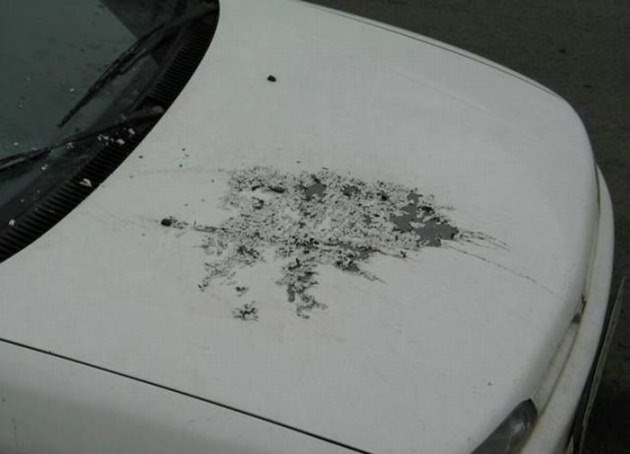 İntikamlarını Otomobillerden Aldılar