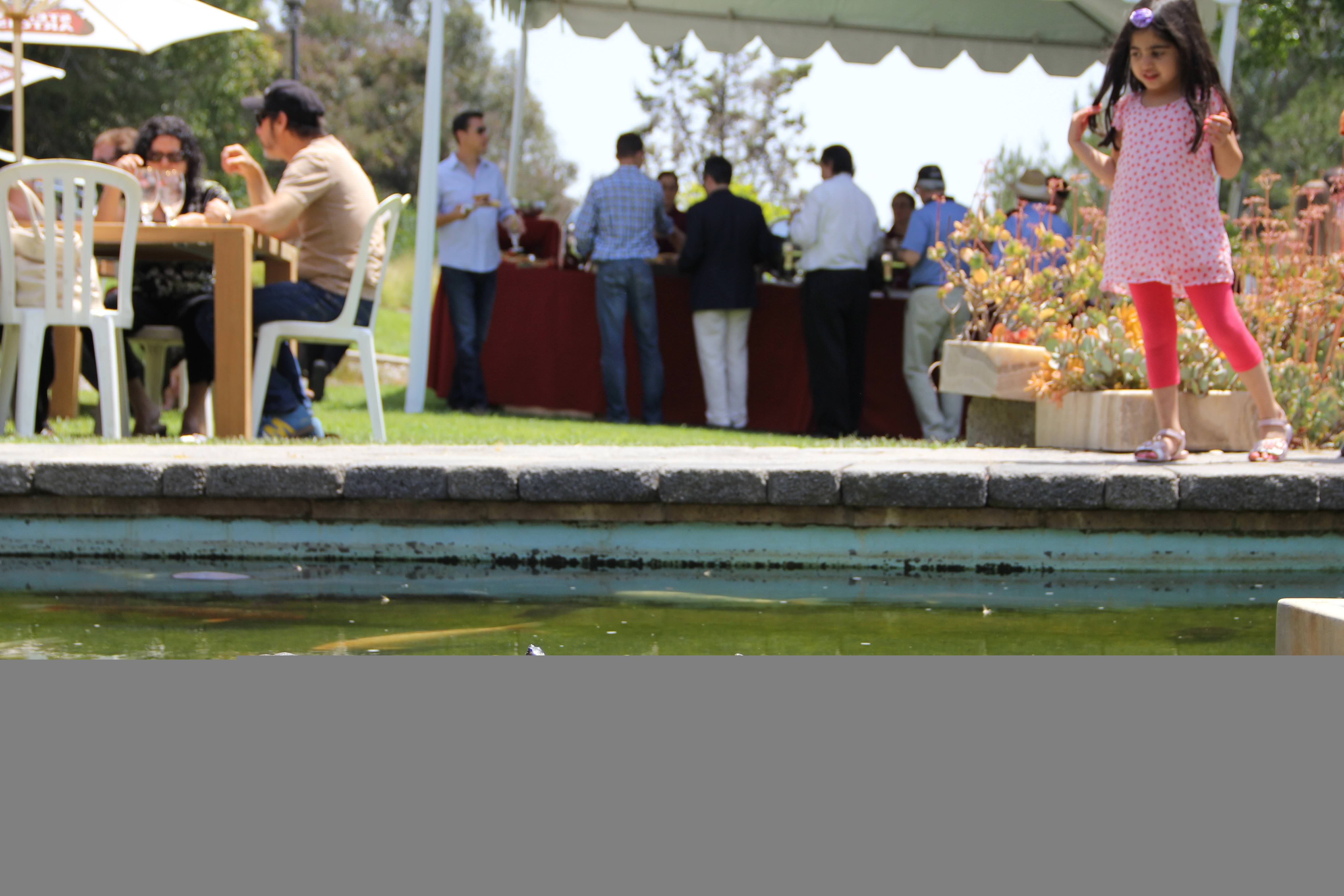 Beverly Hills’te Klasik Otomobil Şovu