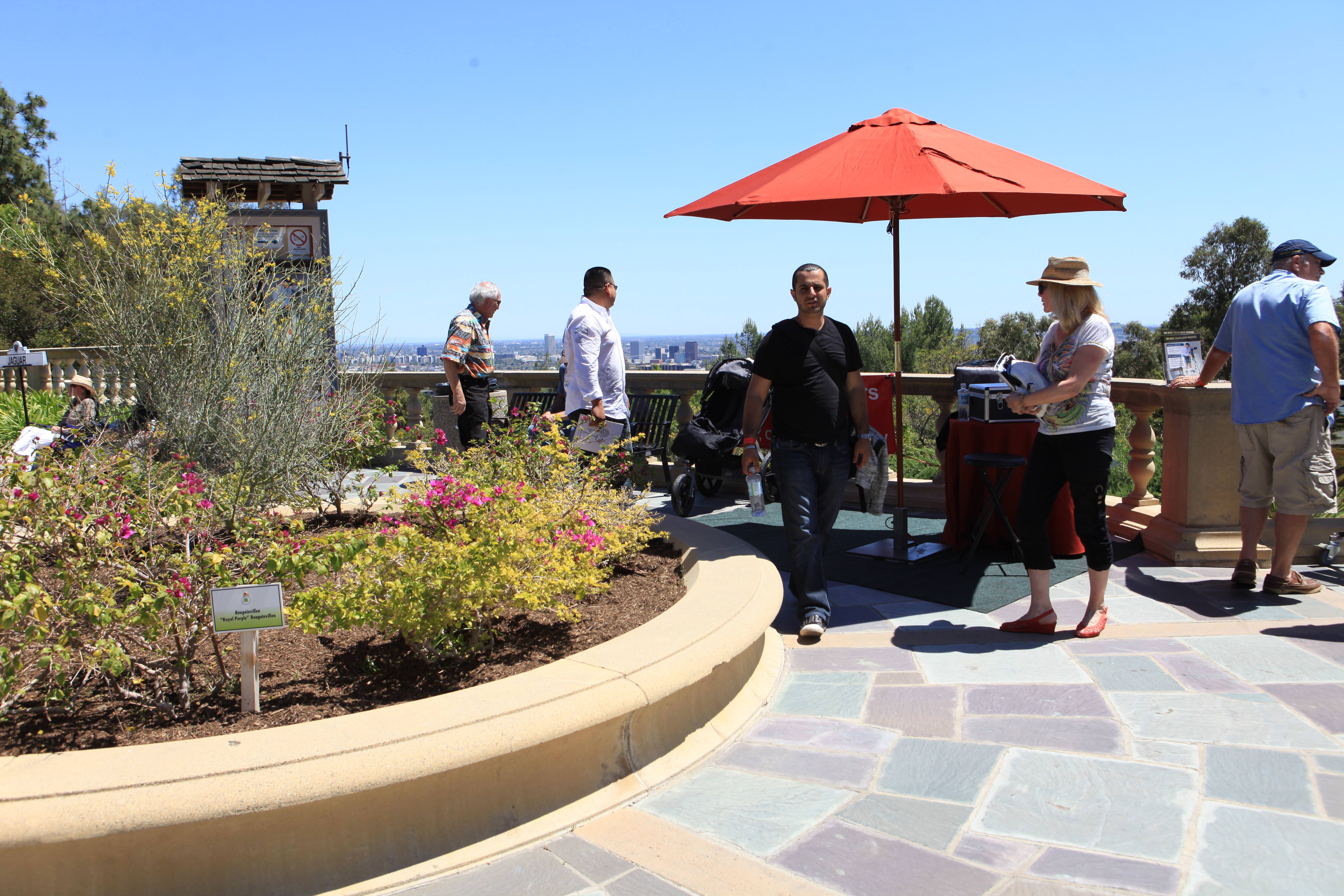 Beverly Hills’te Klasik Otomobil Şovu