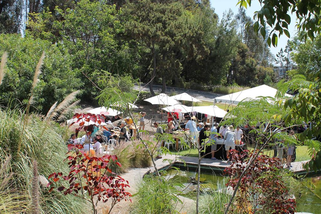 Beverly Hills’te Klasik Otomobil Şovu