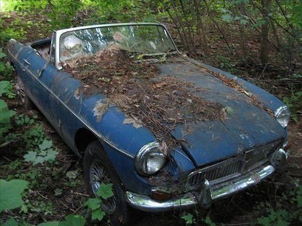 Servet Değerindeki Hurdalar