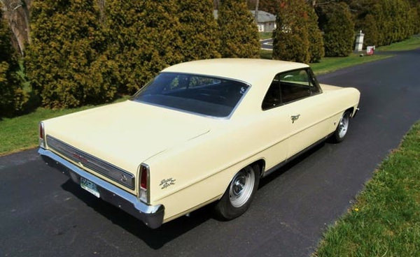 Eski Günlerine Geri Döndü!