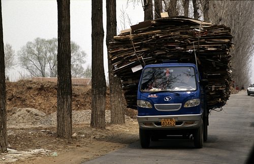 Çin’de Sınırları Zorlayanlar