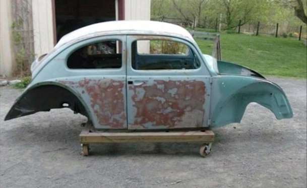 Kaplumbağa'nın Yenilenme Serüveni