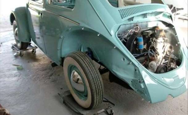 Kaplumbağa'nın Yenilenme Serüveni