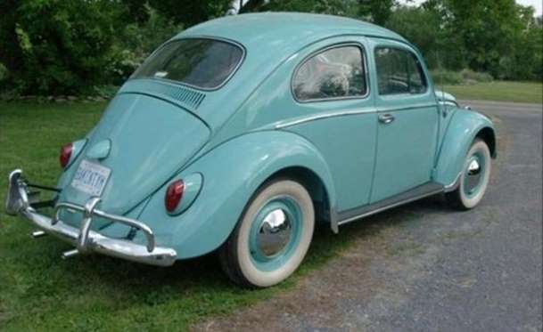 Kaplumbağa'nın Yenilenme Serüveni