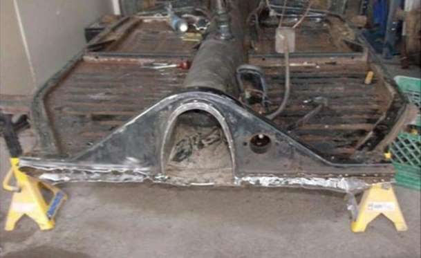 Kaplumbağa'nın Yenilenme Serüveni