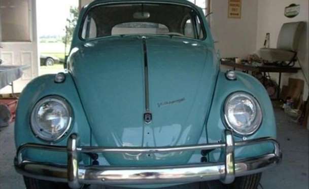 Kaplumbağa'nın Yenilenme Serüveni