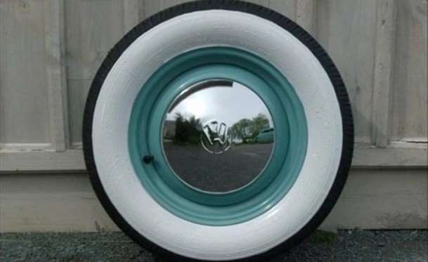 Kaplumbağa'nın Yenilenme Serüveni