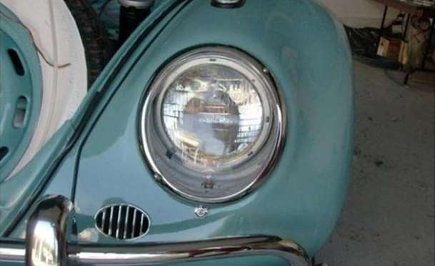 Kaplumbağa'nın Yenilenme Serüveni