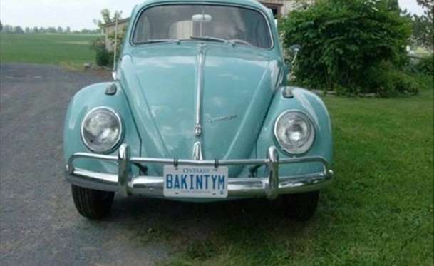 Kaplumbağa'nın Yenilenme Serüveni