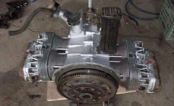 Kaplumbağa'nın Yenilenme Serüveni