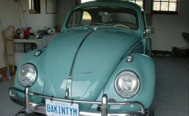 Kaplumbağa'nın Yenilenme Serüveni