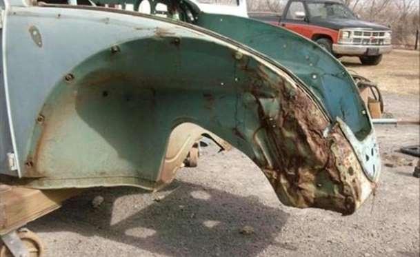 Kaplumbağa'nın Yenilenme Serüveni