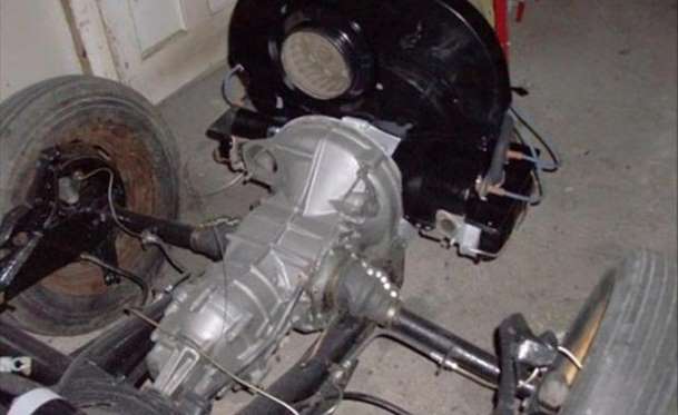 Kaplumbağa'nın Yenilenme Serüveni