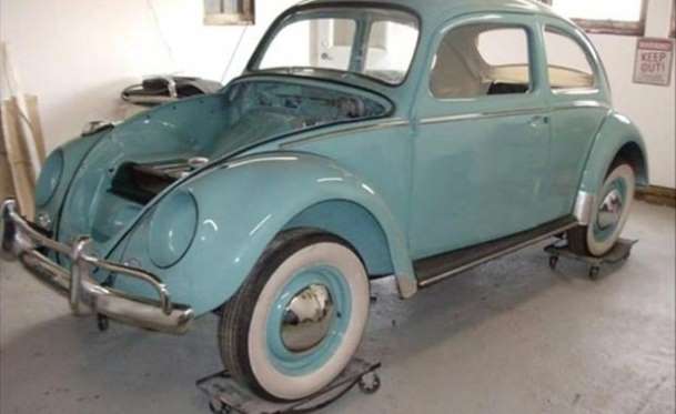 Kaplumbağa'nın Yenilenme Serüveni