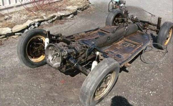 Kaplumbağa'nın Yenilenme Serüveni