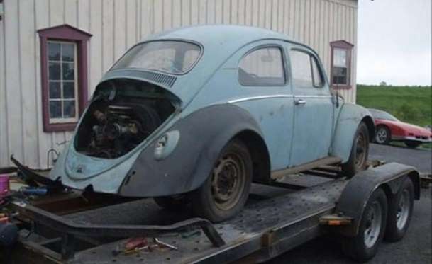 Kaplumbağa'nın Yenilenme Serüveni