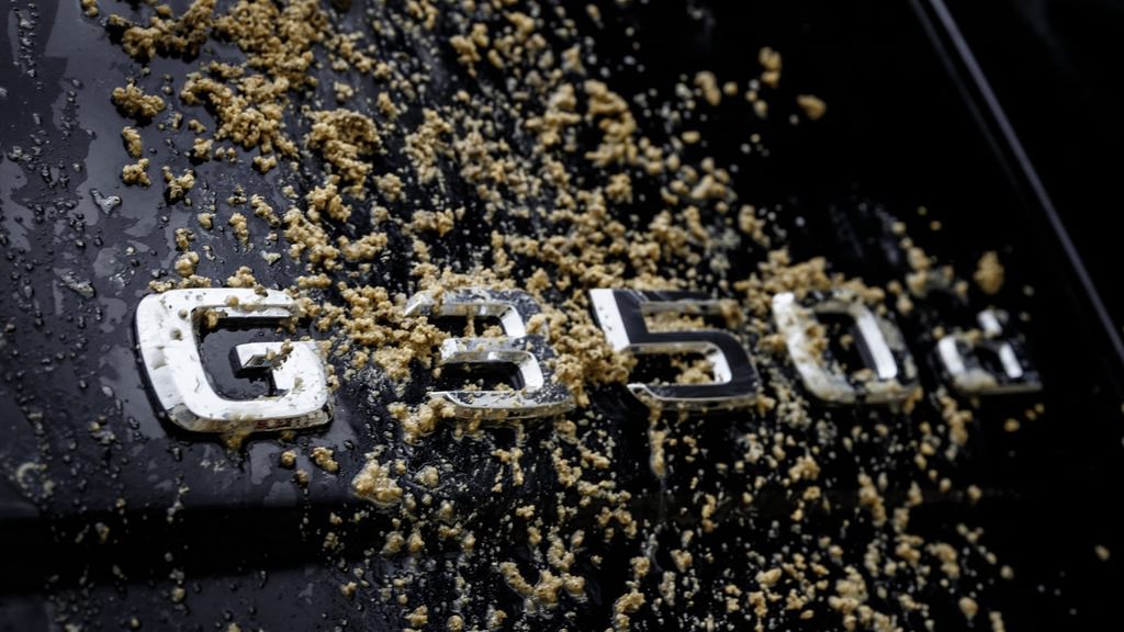 Mercedes-Benz G350d Professional : Profesyonel Off-Road’cu