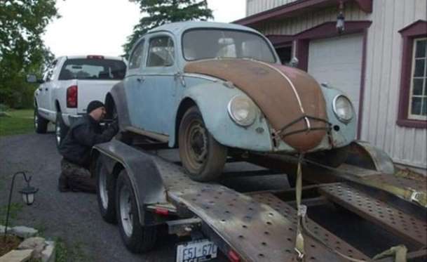 Kaplumbağa'nın Yenilenme Serüveni