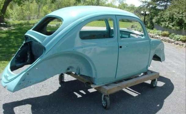 Kaplumbağa'nın Yenilenme Serüveni