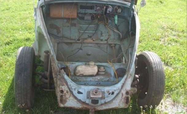 Kaplumbağa'nın Yenilenme Serüveni