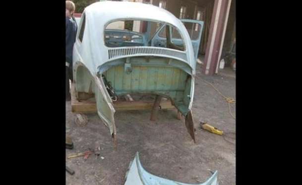 Kaplumbağa'nın Yenilenme Serüveni