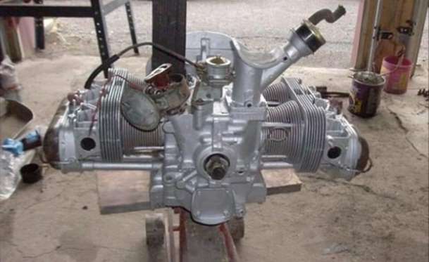 Kaplumbağa'nın Yenilenme Serüveni