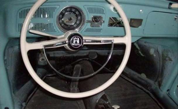 Kaplumbağa'nın Yenilenme Serüveni