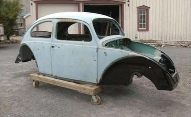 Kaplumbağa'nın Yenilenme Serüveni