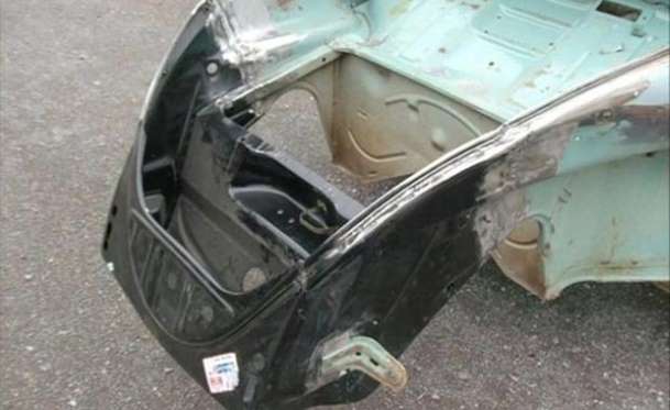 Kaplumbağa'nın Yenilenme Serüveni