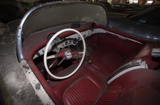 Terk edilmiş halde bulundular!