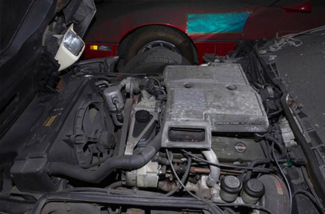 Terk edilmiş halde bulundular!