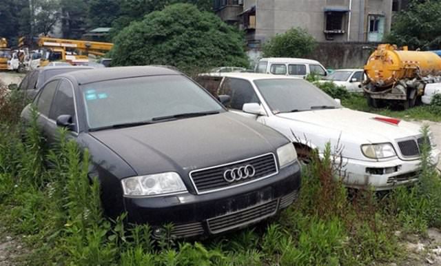 Terk edilmiş halde bulundular!