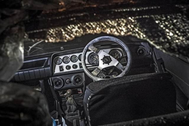 Terk edilmiş halde bulundular!