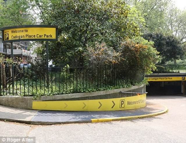 Terk edilmiş halde bulundular!