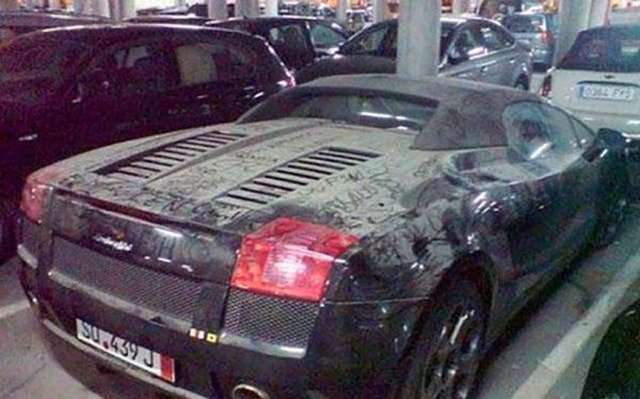 Terk edilmiş halde bulundular!