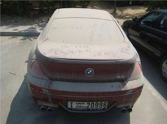 Terk edilmiş halde bulundular!