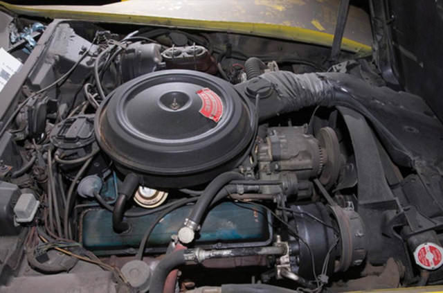 Terk edilmiş halde bulundular!